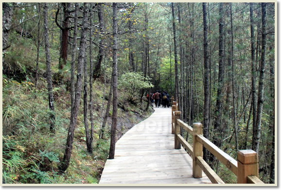 Jiuzhaigou Trip